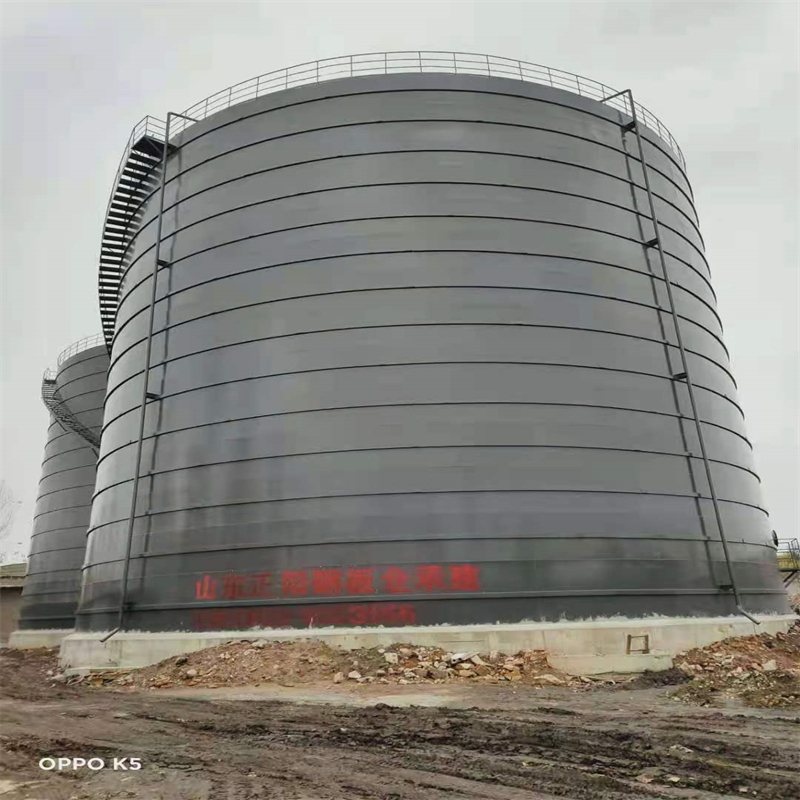 阿拉尔农场3万吨大型钢板库