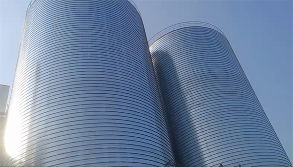 阿拉尔农场2座混凝土高架卷板仓